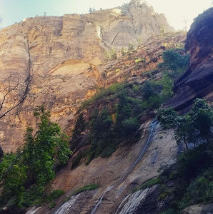 Meet your Posher, Rose